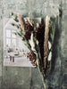 Getrocknete Blumen – Green Nature mix