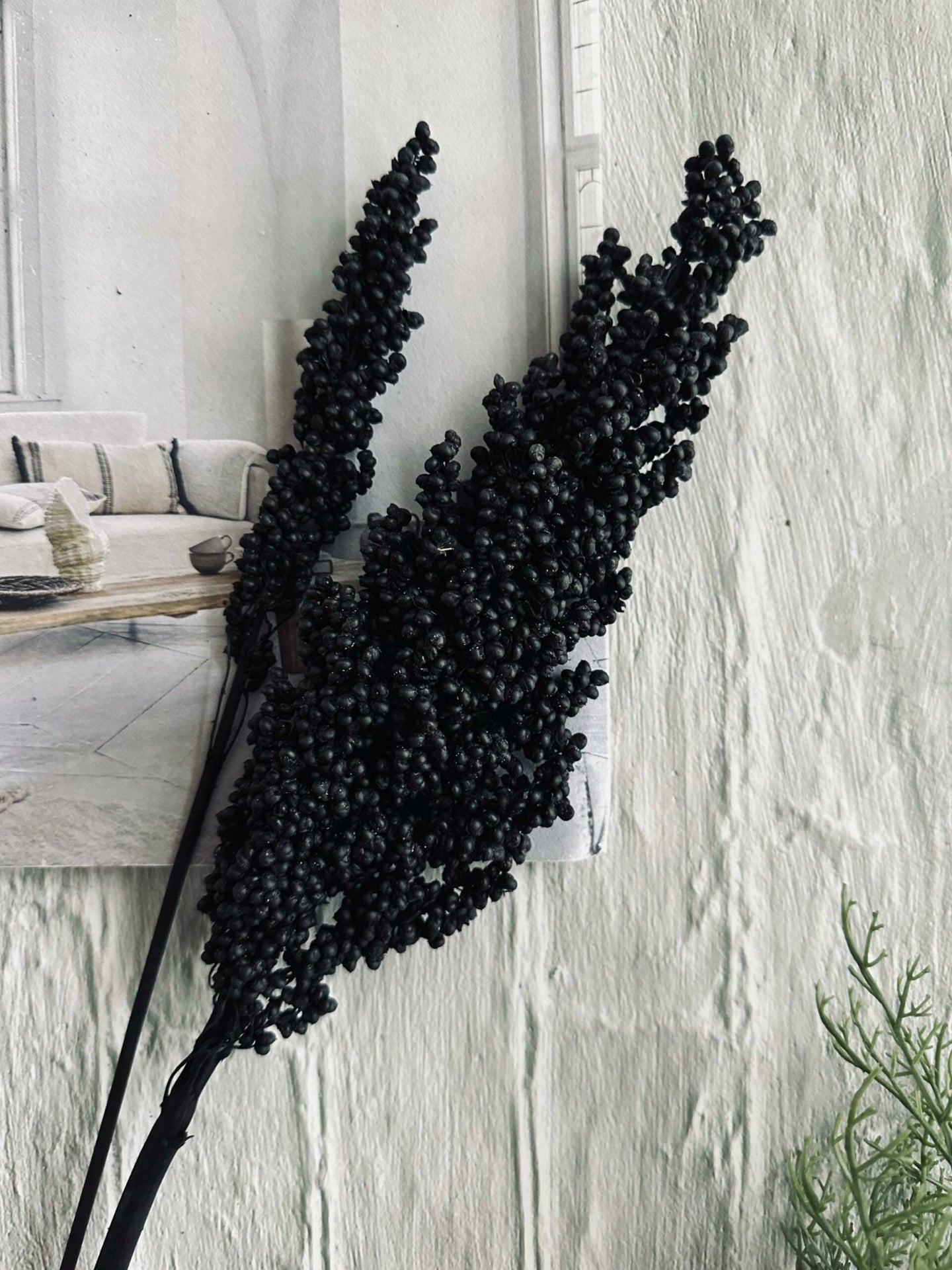Tørret blomster Naomi – Black - VIAMAJA.DK