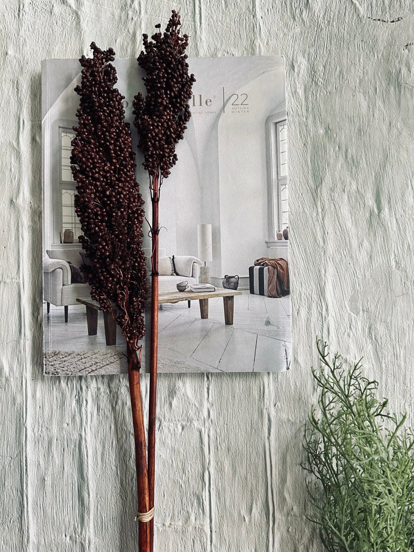 Tørret blomster Naomi – Brown - VIAMAJA.DK