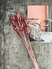 Getrocknete Blumen – Rose