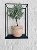 VIAMAJA Cube Regal – Schwarz – 20x30x10
