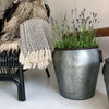 Zinkeimer für Blumen oder Aufbewahrung - Groß